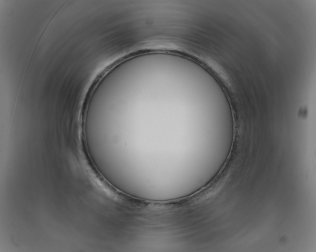 X0000093240840200709261528