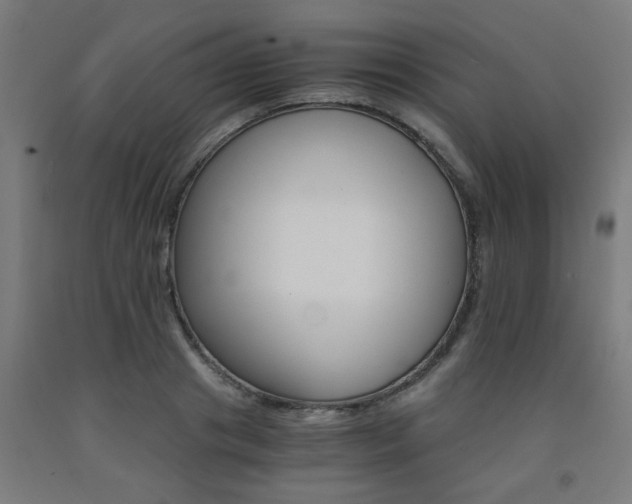 X0000093240841200709261528