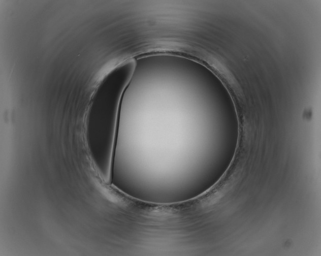 X0000093240842200709261528