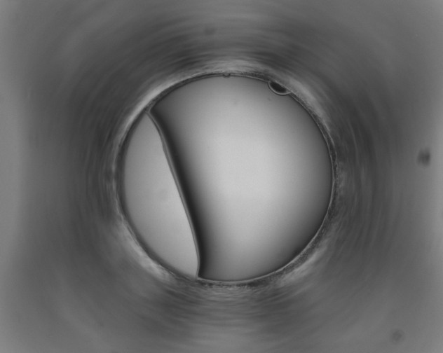 X0000093240843200709261528
