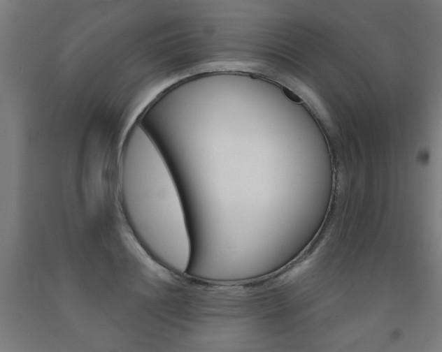 X0000093240844200709261528