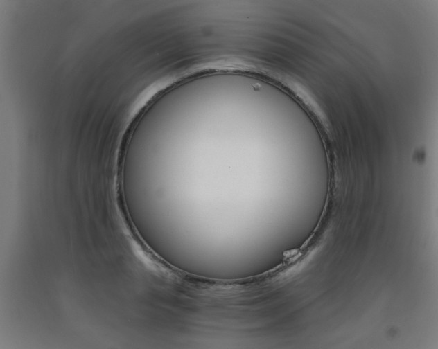 X0000093240845200709261528