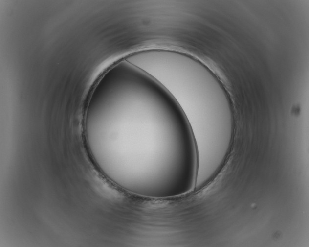 X0000093240846200709261528