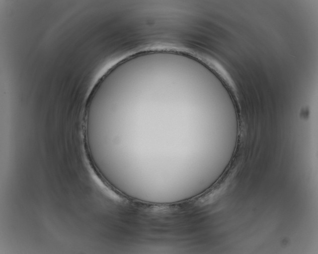 X0000093240847200709261528