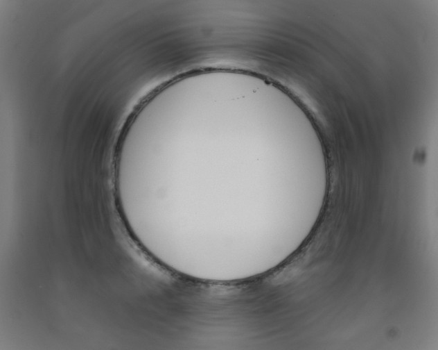 X0000093240848200709261528