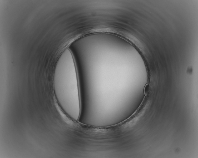 X0000093240849200709261528