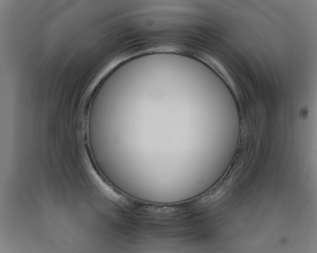 X0000093240851200709261528