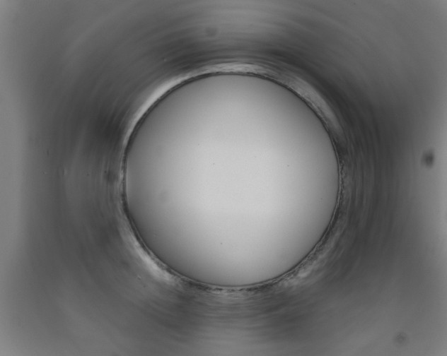 X0000093240852200709261528