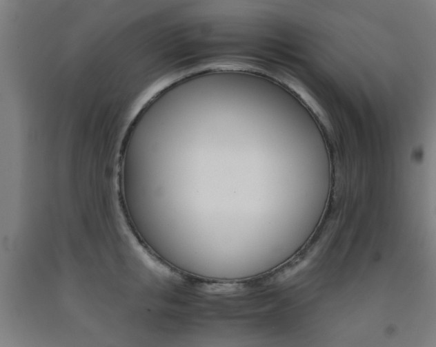 X0000093240853200709261528