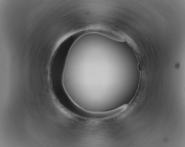 X0000093240854200709261528