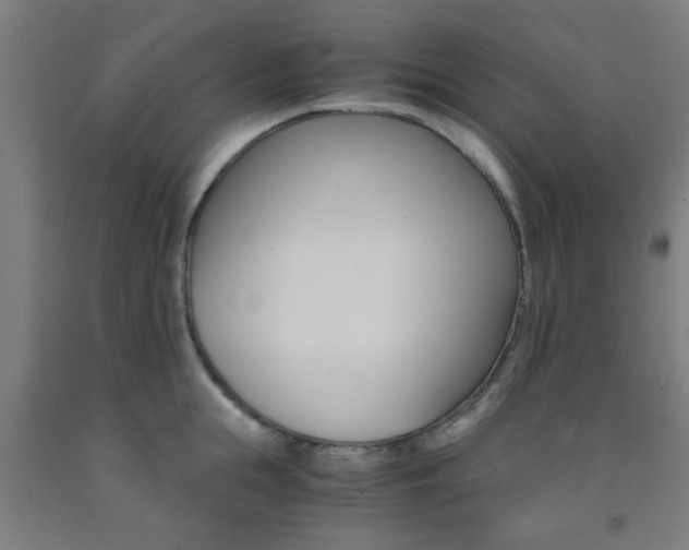 X0000093240855200709261528