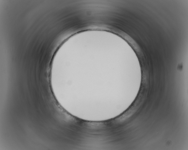 X0000093240856200709261528