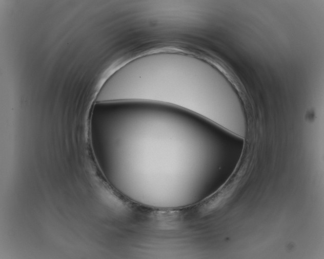 X0000093240858200709261528