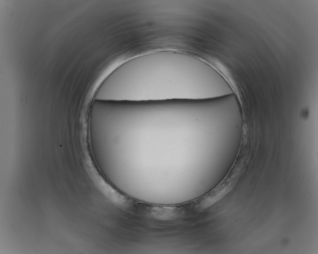 X0000093240859200709261528