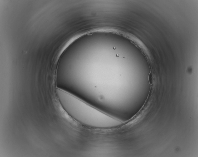 X0000093240860200709261528