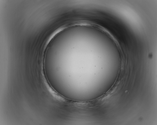 X0000093240861200709261528