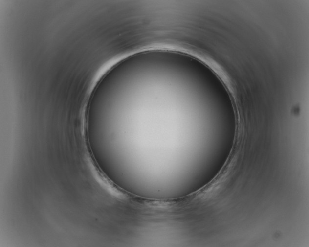 X0000093240862200709261528