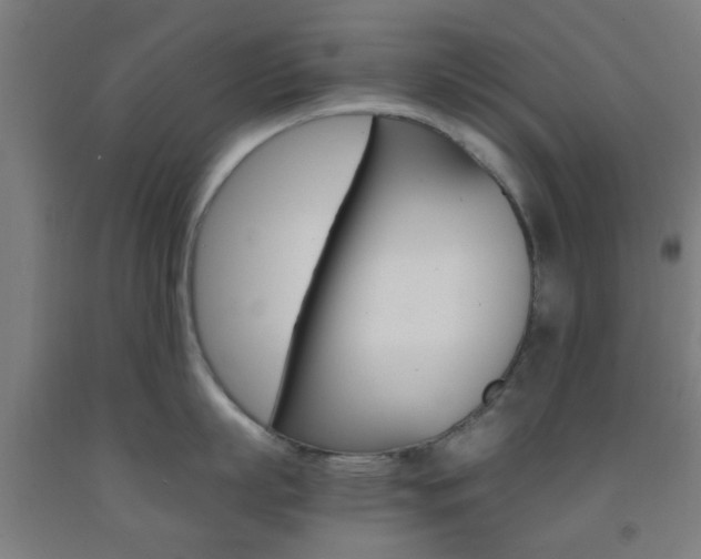 X0000093240863200709261528