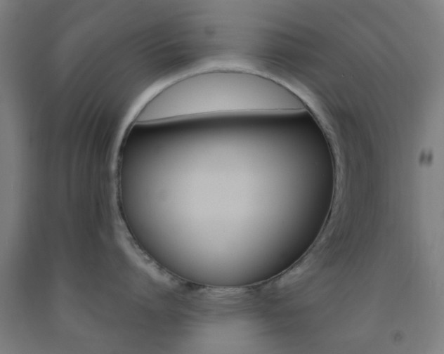X0000093240864200709261529