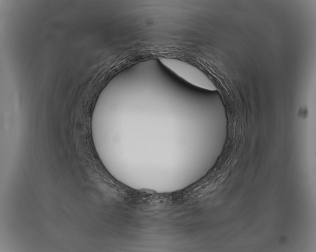 X0000093240865200709261528