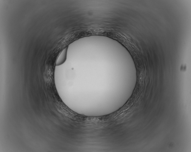 X0000093240866200709261528