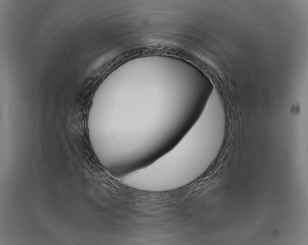 X0000093240869200709261528