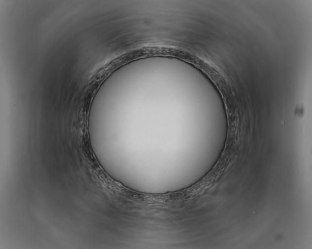 X0000093240870200709261528