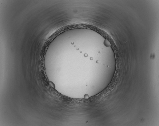 X0000093240871200709261528