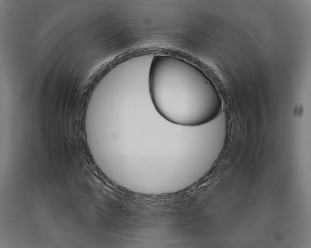 X0000093240872200709261528