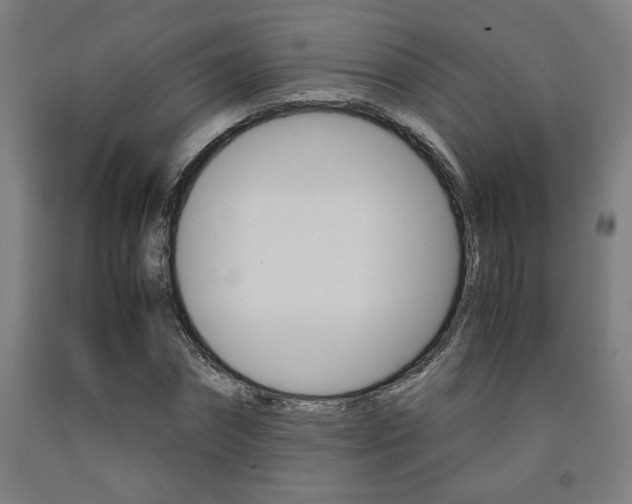 X0000093240874200709261528