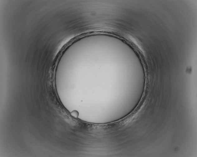 X0000093240875200709261528