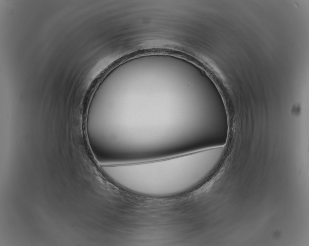 X0000093240877200709261528