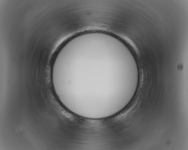 X0000093240878200709261528