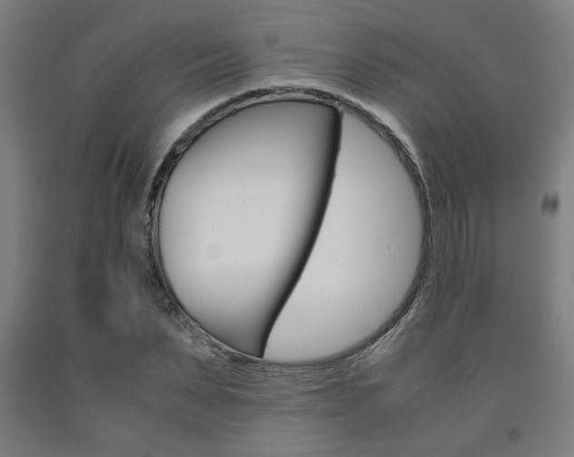 X0000093240879200709261528