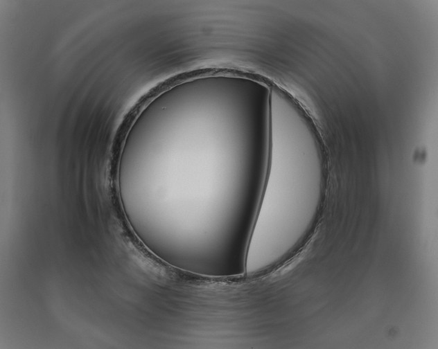 X0000093240880200709261528