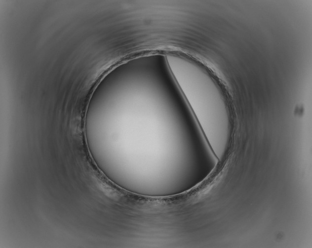 X0000093240881200709261528