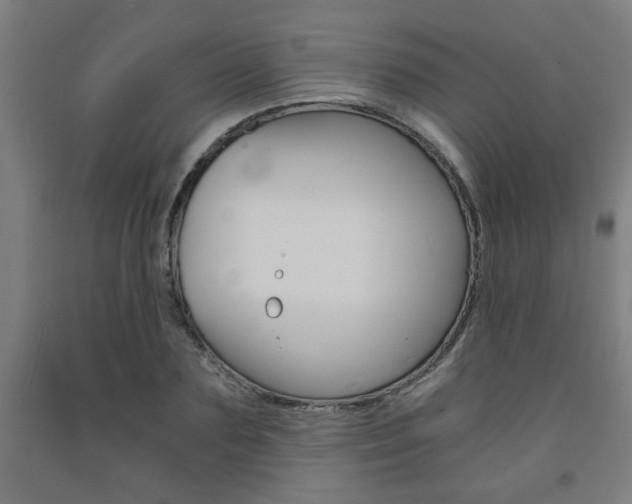 X0000093240883200709261528