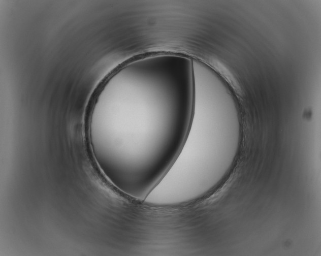 X0000093240884200709261527