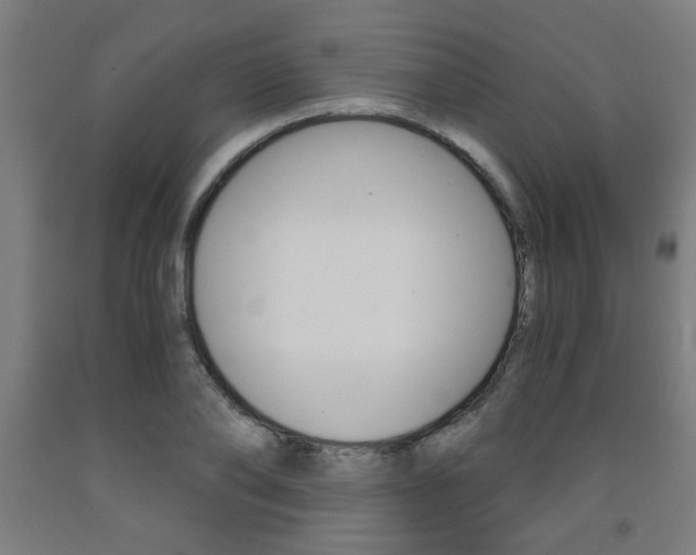 X0000093240886200709261527