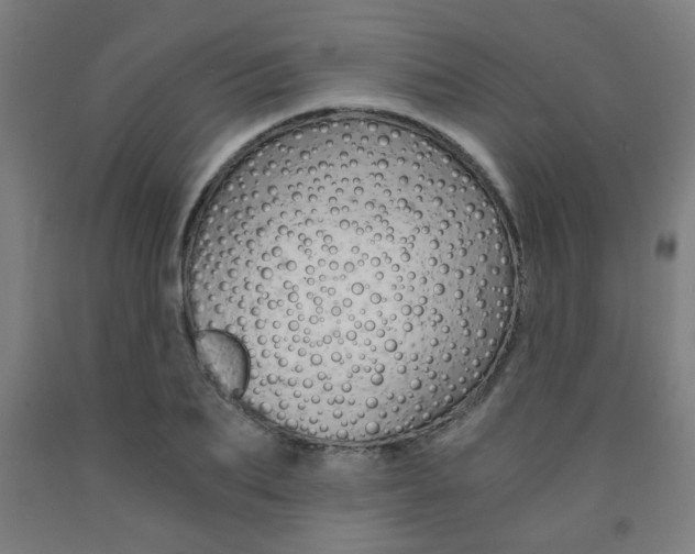X0000093240887200709261527