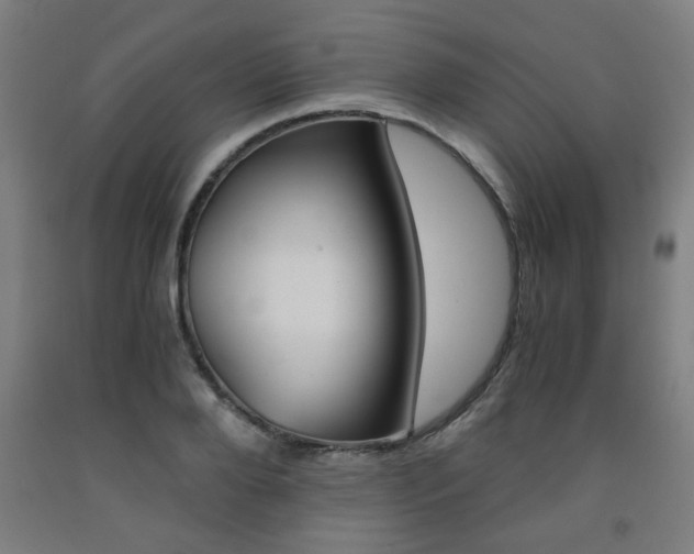 X0000093240888200709261527