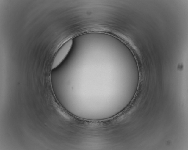X0000093240889200709261527