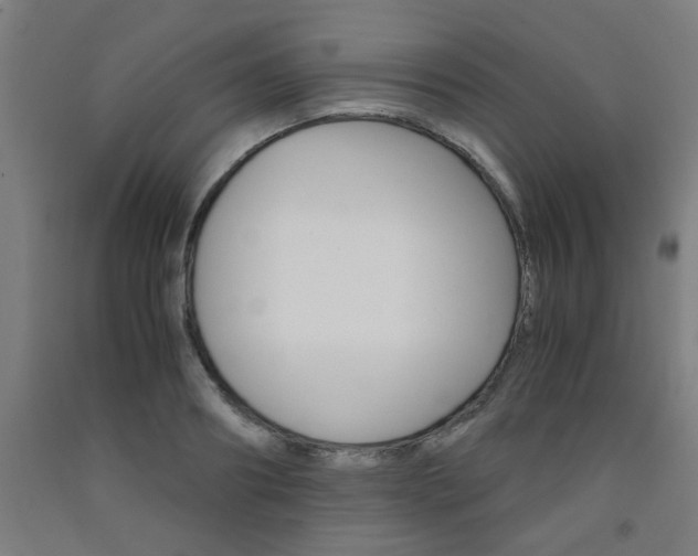 X0000093240890200709261527