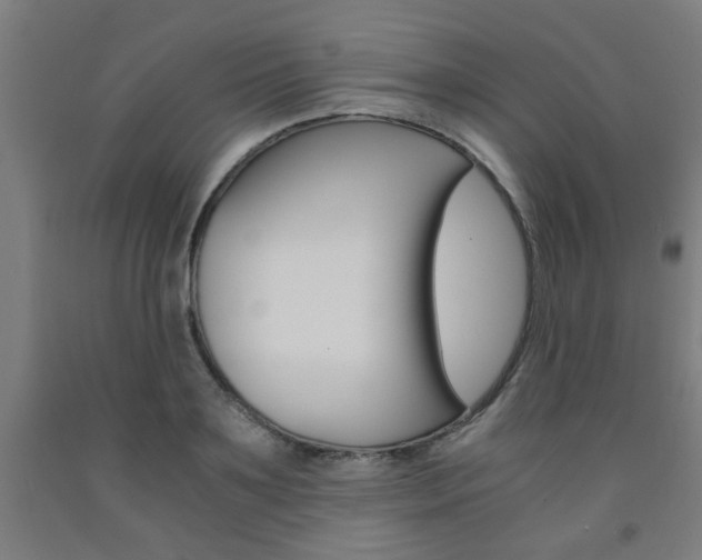 X0000093240891200709261527