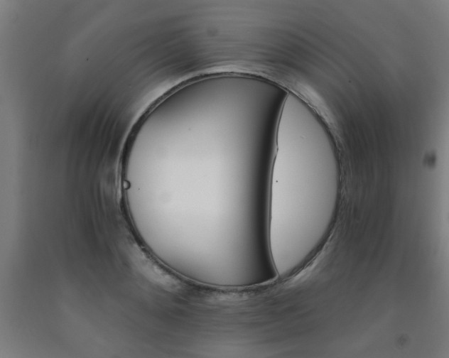 X0000093240892200709261527