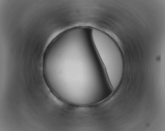 X0000093240894200709261527