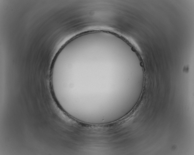 X0000093240895200709261527