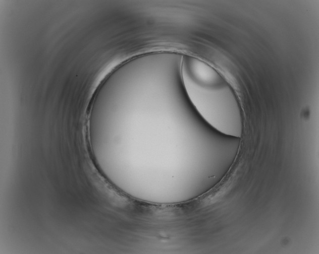 X0000093240899200709261527