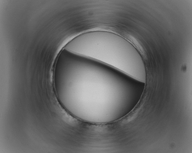 X0000093240900200709261527