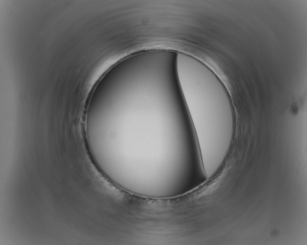 X0000093240901200709261527